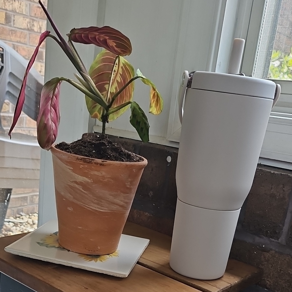 Brumate 35 Ounce Resa Tumbler